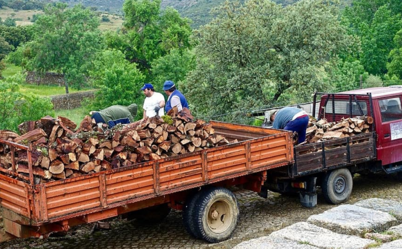 Заловиха младеж с трактор пълен с крадени дърва в Липница