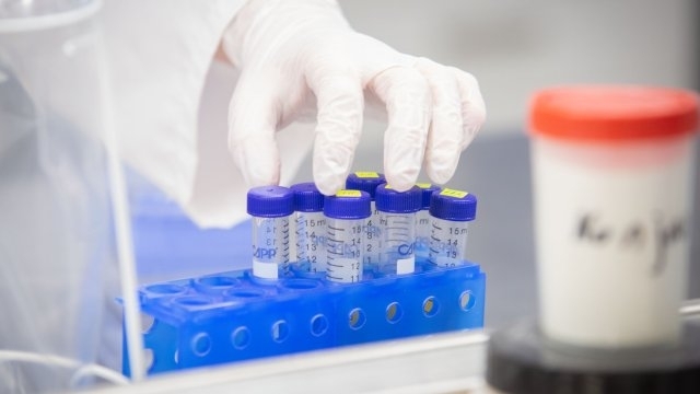 През изминалото денонощие на територията на област Монтана има установени