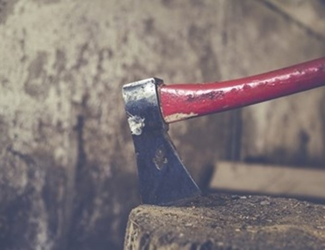 24 годишен съсече смъртоносно с брадва дядо си който е инвалид