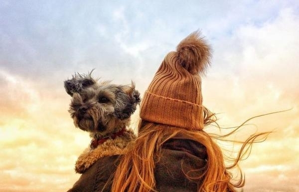 Днес времето над страната ще бъде предимно слънчево Ще духа