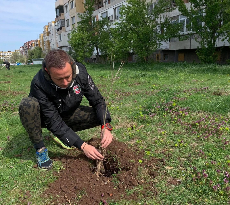 Над 600 дръвчета бяха засадени в района на бул Европа