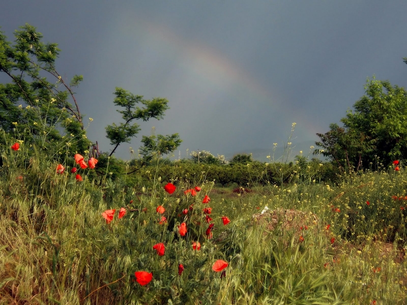 През нощта облачността ще е значителна и на много места