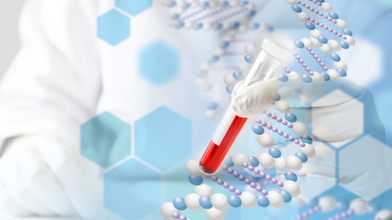 От днес eкипи на Регионална здравна инспекция Стара Загора