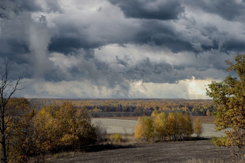 Днес ще е предимно облачно До края на деня дъжд