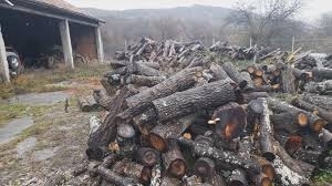 Полицаи са намерили незаконни дърва в две къщи в Монтанско