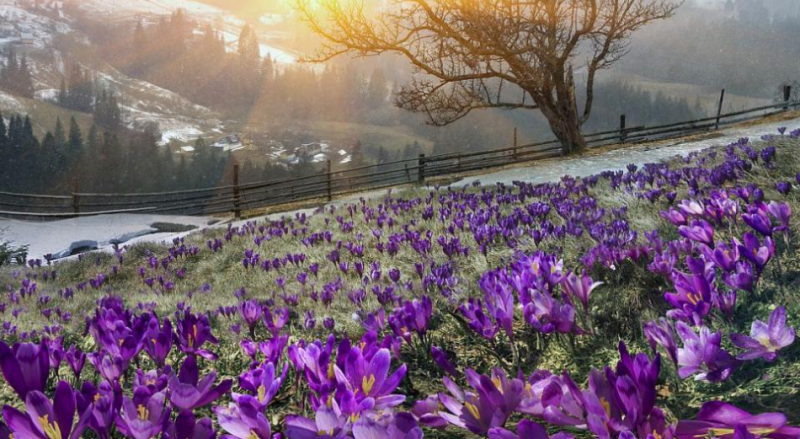 Утре от запад облачността ще продължи да се разкъсва и