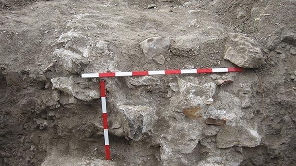 Директорът на регионалния исторически музей във Враца археологът Георги Ганецовски