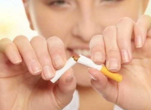 Танините и растителният клей в листата на живовляка унищожават вредните