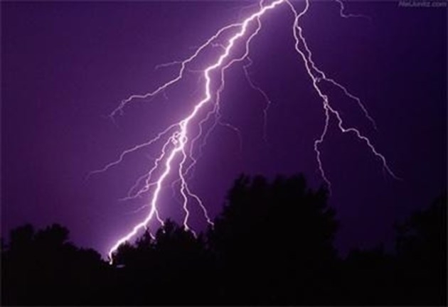 Мълния е ударила дърво на улица Капитан Райчо в центъра