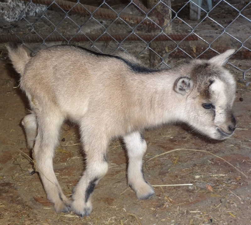 Вчера в районното полицейско управление във Враца е получено съобщение