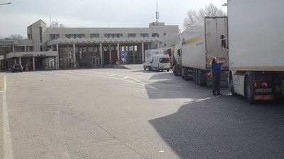 Заради 15 огнища на африканска чума по свинете в окръг