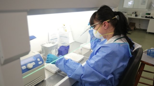 Почти се изравниха положителните за коронавируса и излекуваните за последното