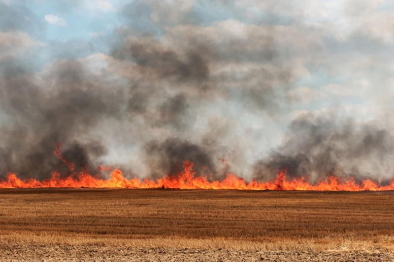 Полицията разследва пожар в нива във Врачанско съобщават от МВР  
Пламъците