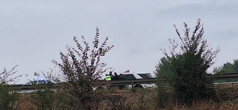 Нелегални мигранти са заловени на околовръстното на Монтана вчера научи