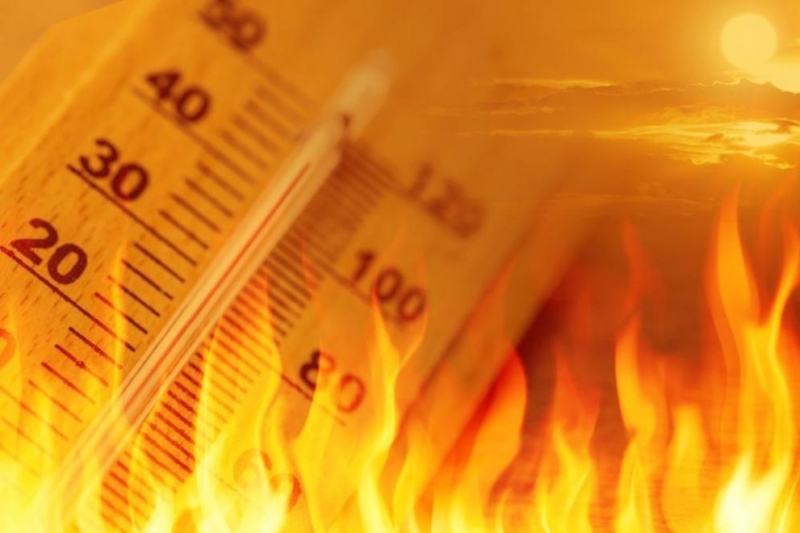 Американски учени прогнозират че в средата на този век горещите