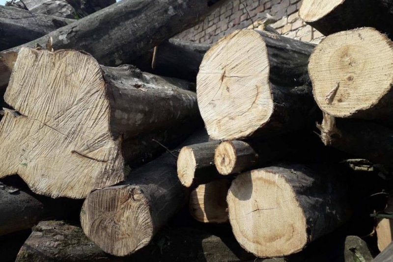 Полицейски служители са намерили незаконни дърва в къща във видинско