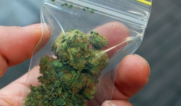 Прибраха в ареста младеж от Белоградчик предал доброволно марихуана на