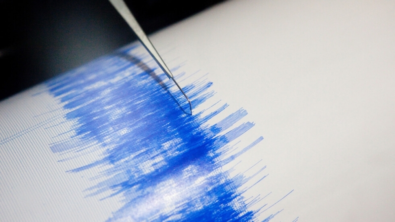 Земетресение от 5 6 по Рихтер удари южната част на Иран