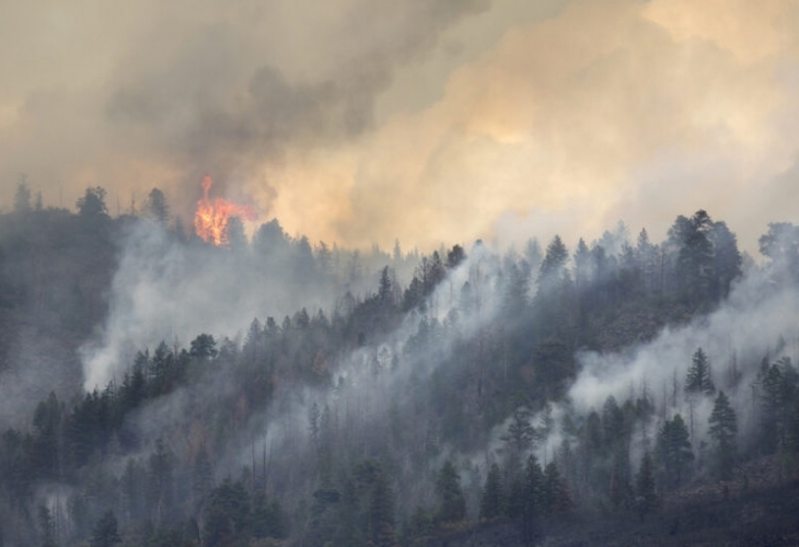 Гора и сухи треви са пламнали в района на Ситония