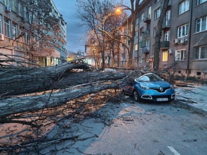 Ураганният вятър в страната отне живота на двама души и нанесе сериозни щети