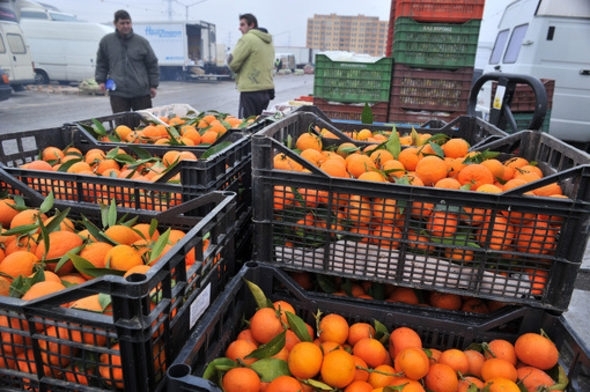 Българската агенция по безопасност на храните БАБХ не допусна внос