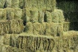 От проведеното разследване по досъдебно производство по описа на районно