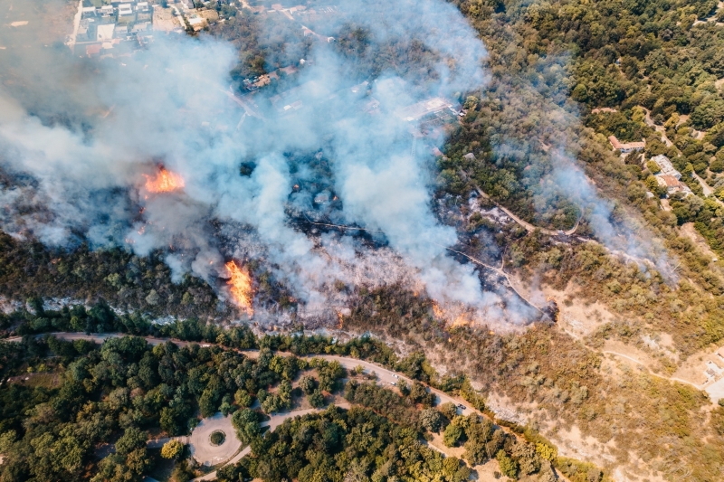 Сухи треви и храсти горят в местността Плочата над парк