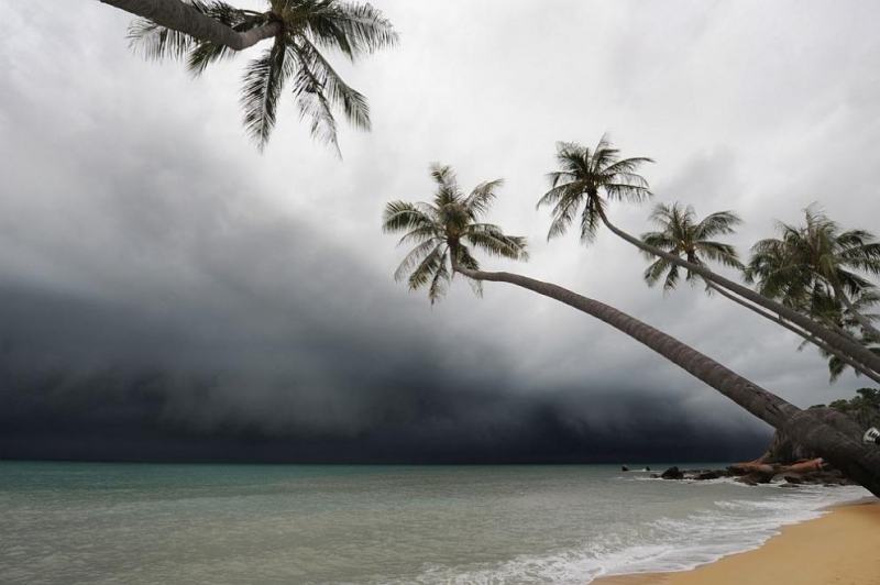 Тропическата буря Гама е достигнала брега в източната част на
