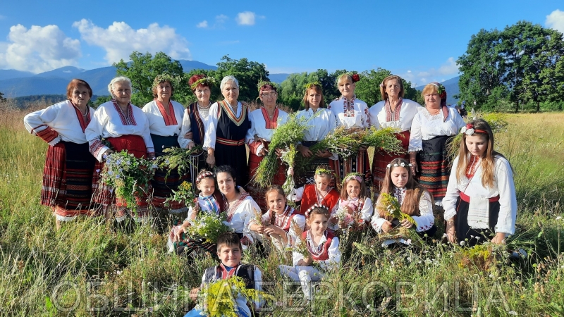 77 билки за 77 болести набраха в Бързия /снимки/