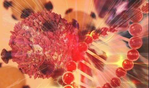 Лошата храна може да спомогне за развитието на рак от