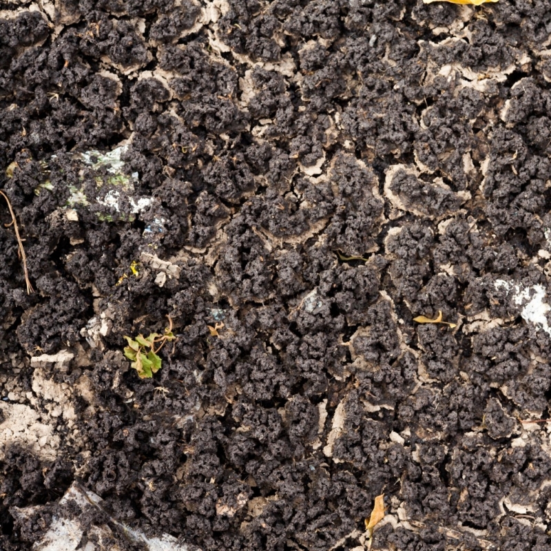 След години битка с терористите иракските фермери доброволци във войната сега се