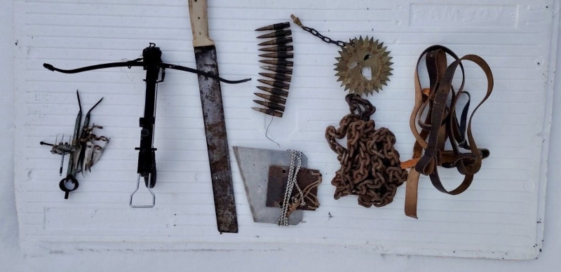 Разследващите са в шок от клиповете с животни на Царицата