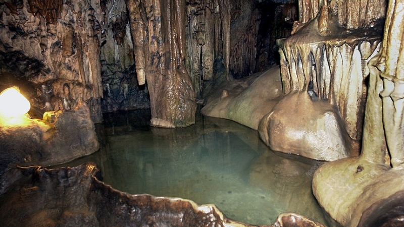 Онлайн гласуване ще определи победителите в третите Годишни награди в