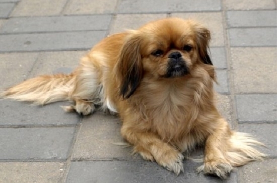 Мъж от Враца бе осъден да копае паркове и градинки