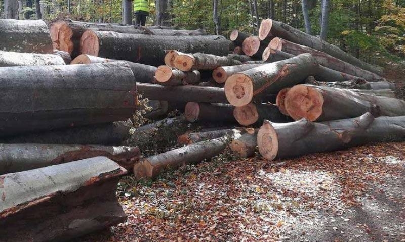 Бракониери заплашиха горски служители във Врачанско и избягаха след опит