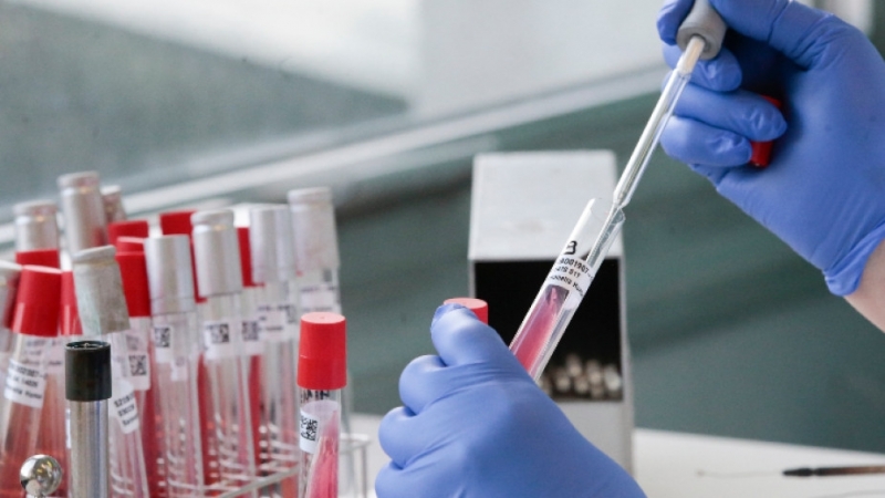 Продължава тестването за наличието на коронавирус в област Враца сочат