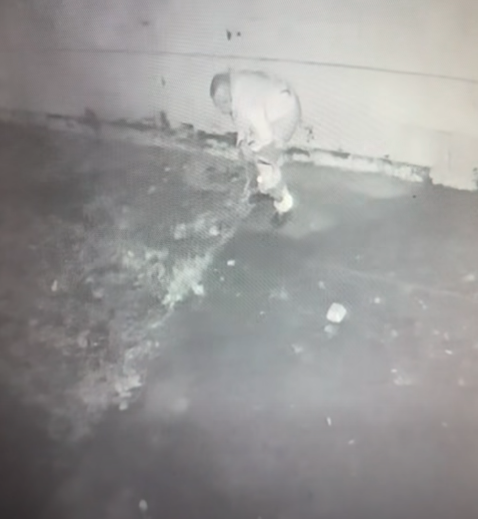 Жител на Враца втрещи съгражданите си с интересен избор за