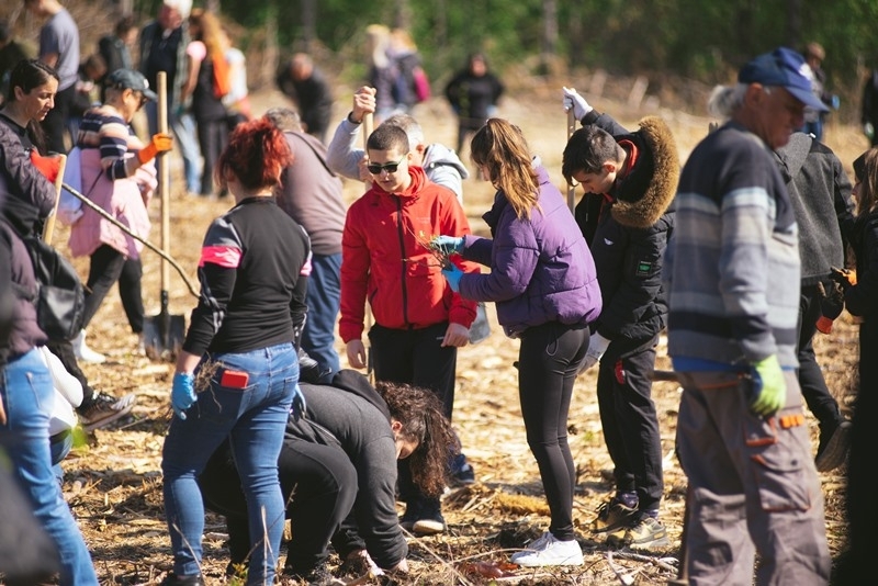 8 000 широколистни дръвчета бяха засадени в залесителна акция под