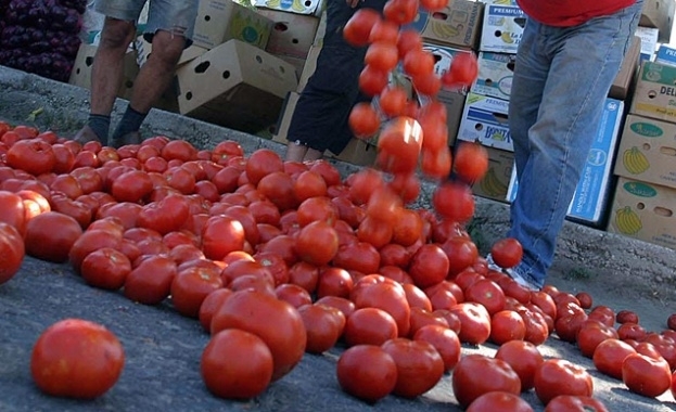 Оранжерийните домати поскъпват с 0 9 на сто до 2 20 лева