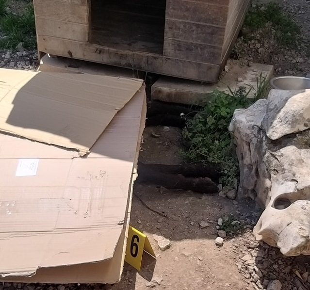 Стана ясно кой е мъжът арестуван за изтравянето на животни