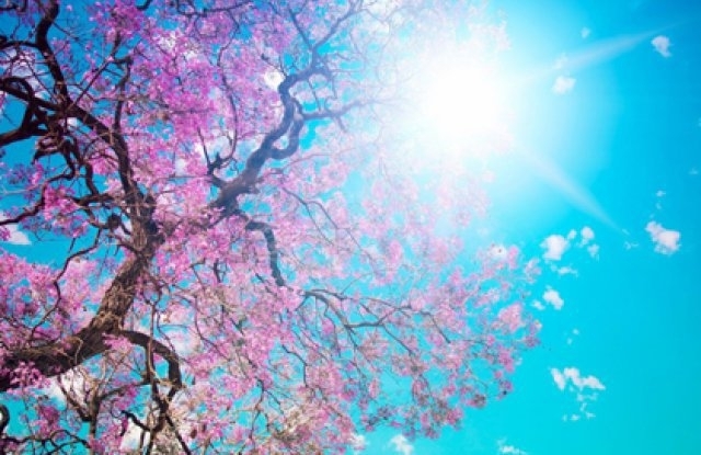 Днес ще е предимно слънчево В следобедните часове ще се