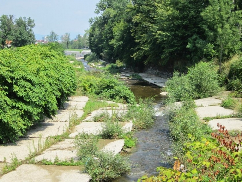 Мъж е намерен в безпомощно състояние в коритото на Владайска