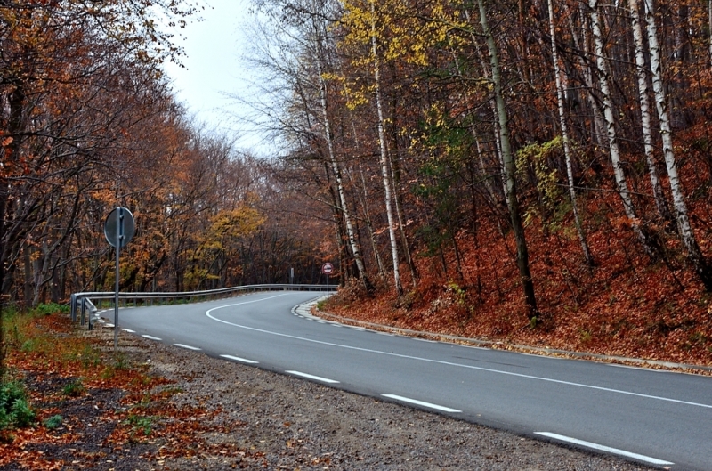 І МЕТЕОРОЛОГИЧНА ОБСТАНОВКА През нощта над страната ще преобладава ясно