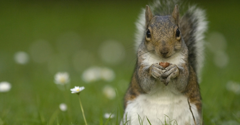 През нощта ще е предимно ясно а в сряда слънчево