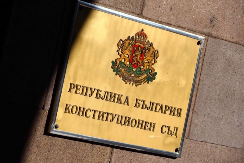 Председателят на Конституционния съд Павлина Панова даде 14 дни на