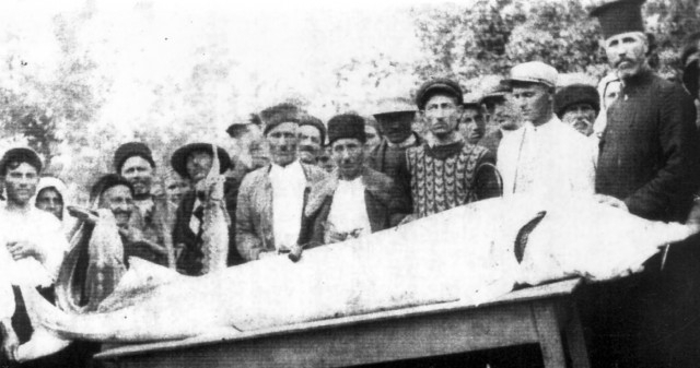 Река Дунав която е втората най голяма европейска река крие много