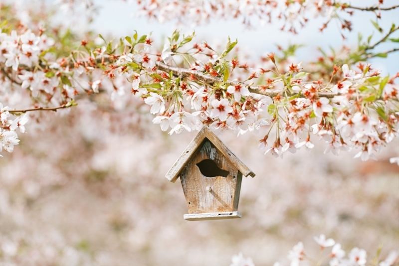 Днес облачността ще се задържи значителна Преди обяд на отделни