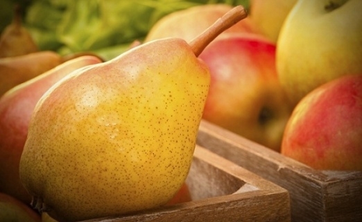 Голяма част от реколтата от ябълки круши сливи и череши