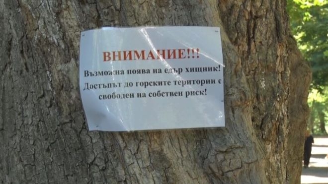Ресторантьори и хотелиери искат компенсации заради черния леопард