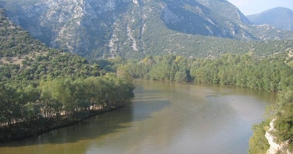 Жена излетя с колата си и цамбурна във водите на